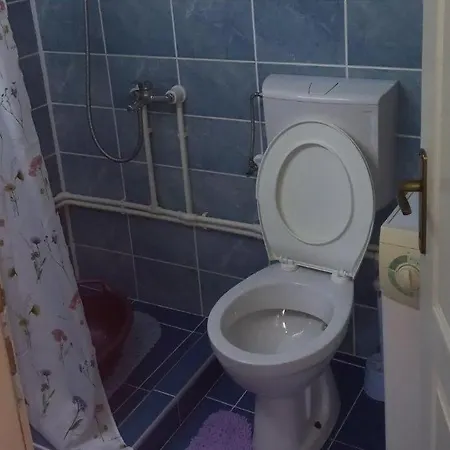 Tina I Sara Apartament Vrnjačka Banja